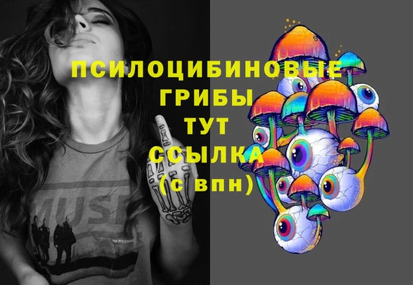 крисы Армянск