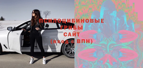 спайс Арсеньев