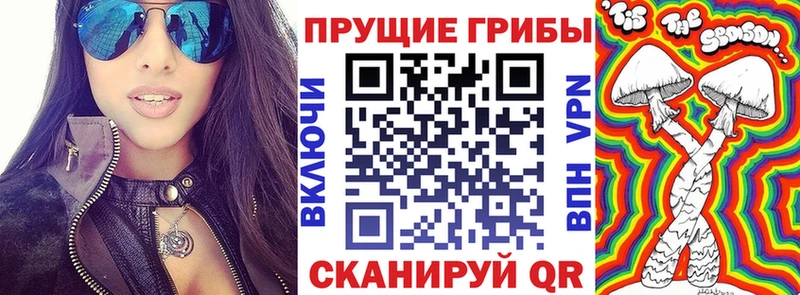 Псилоцибиновые грибы MAGIC MUSHROOMS  дарк нет как зайти  Чадан 